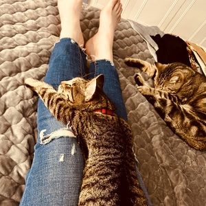 Meet your Posher, Molly